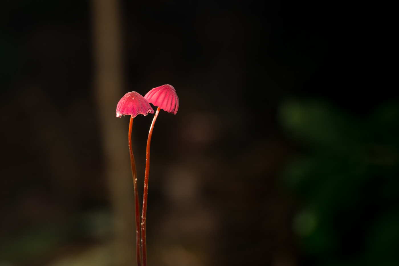 YDY02853.jpg