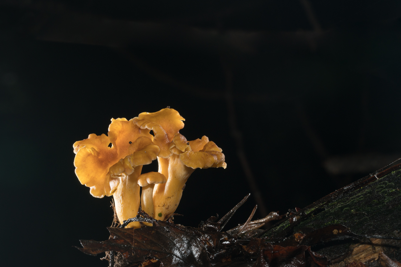 YDY02673.jpg