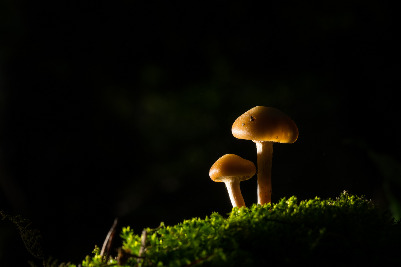 YDY07358.jpg