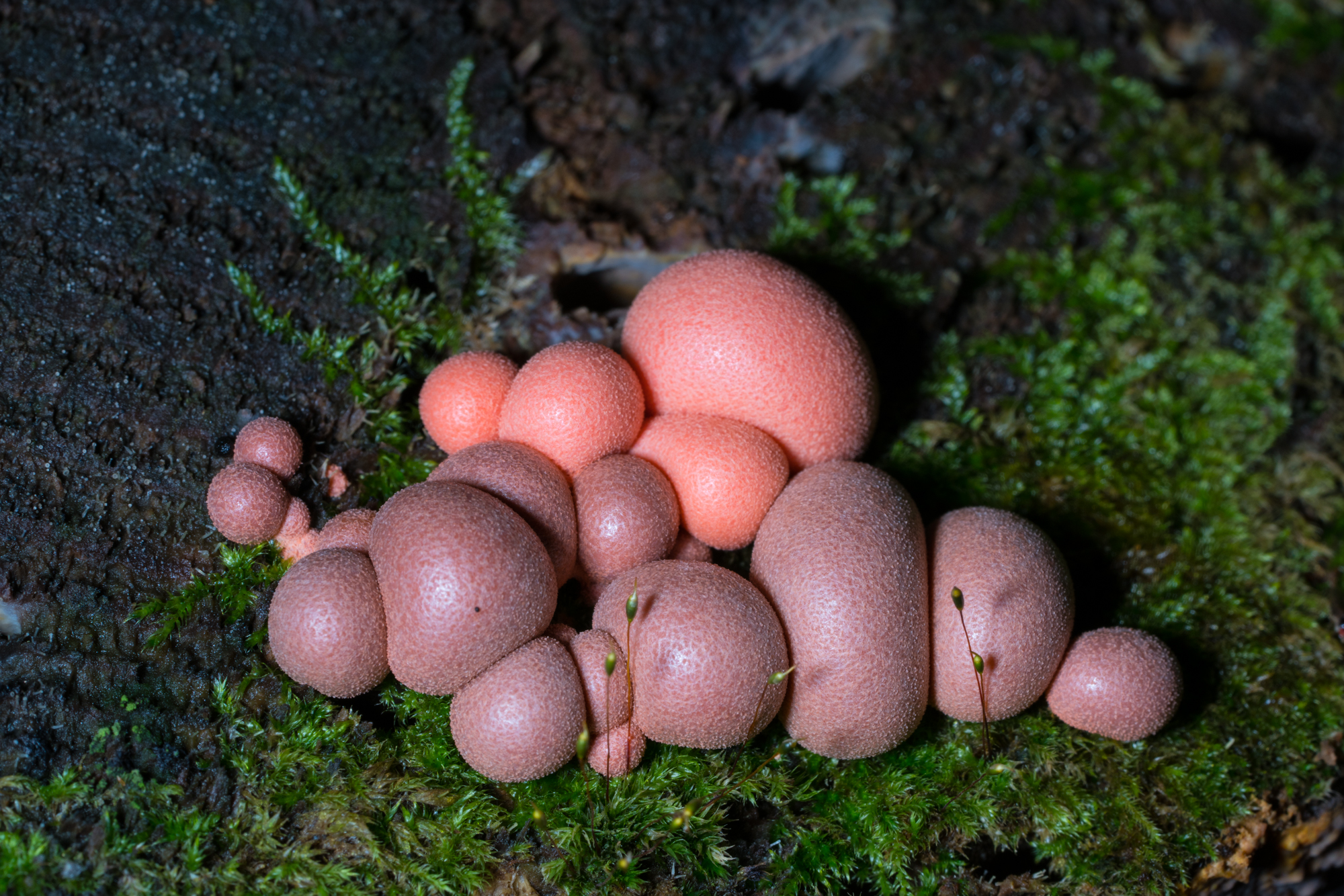 YDY06793.jpg