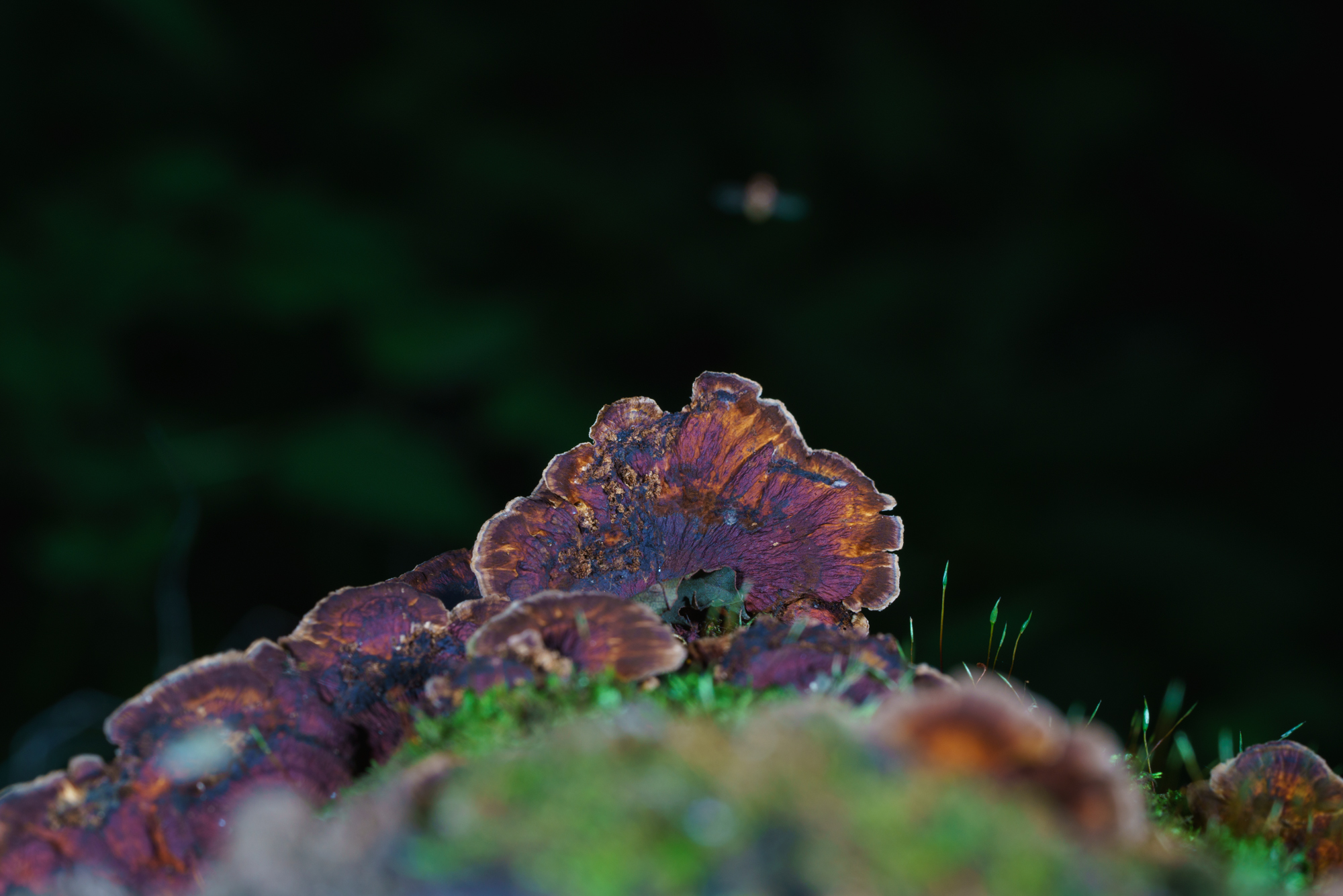 YDY05696.jpg
