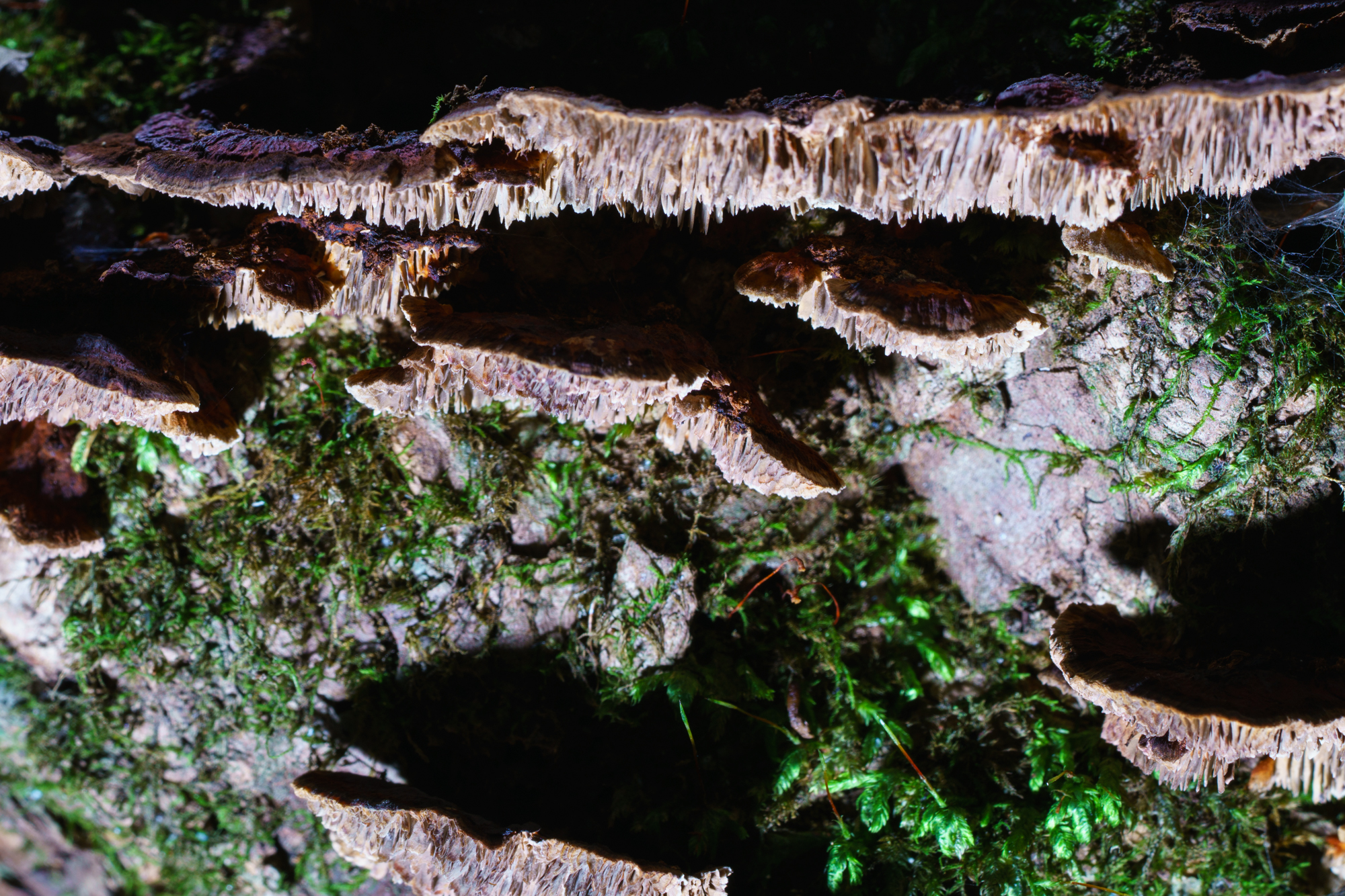 YDY05706.jpg