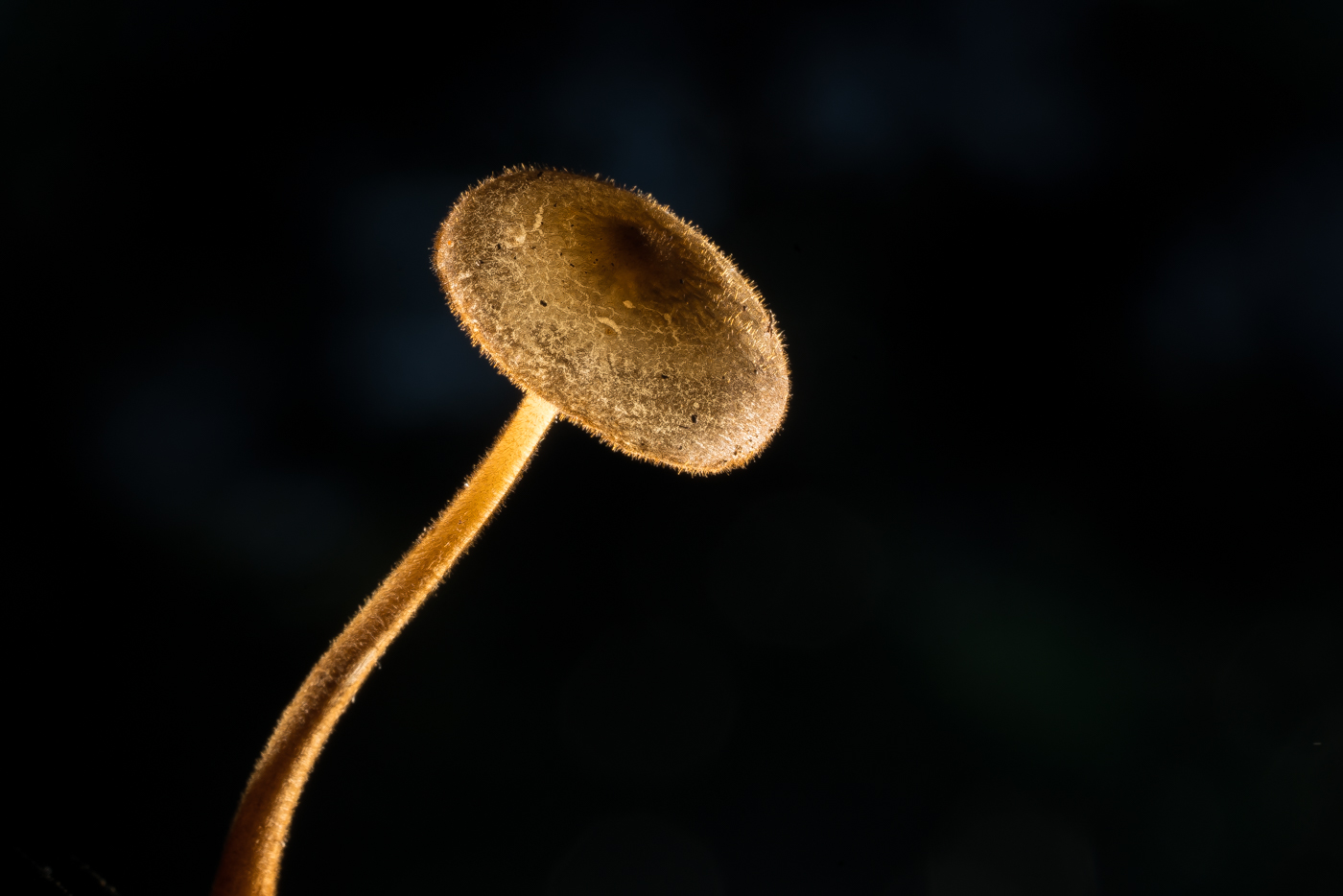 YDY08322.jpg