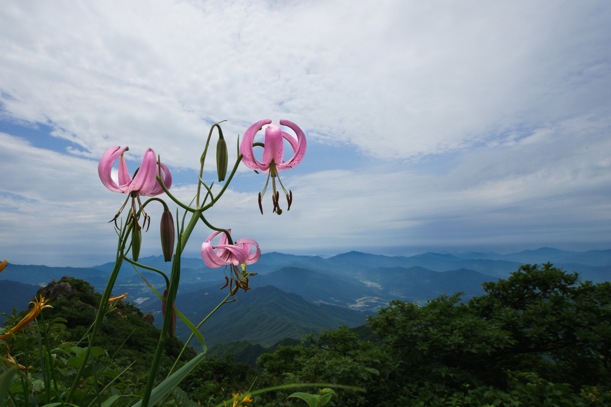 c0e5c889db442226791f648a135130e6 - 복사본.JPG