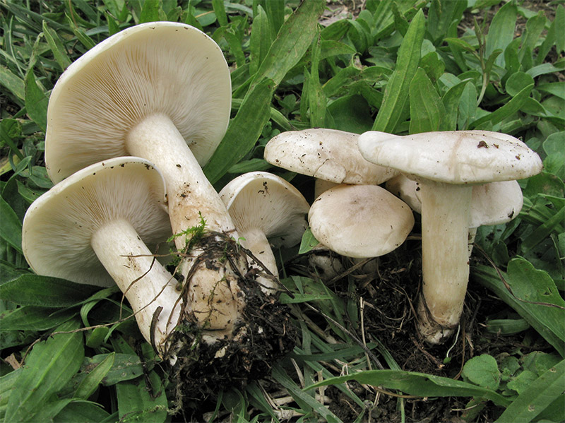 post-2286-030521200 1285969841.jpg