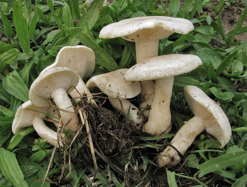 post-2286-094780600 1285969699.jpg