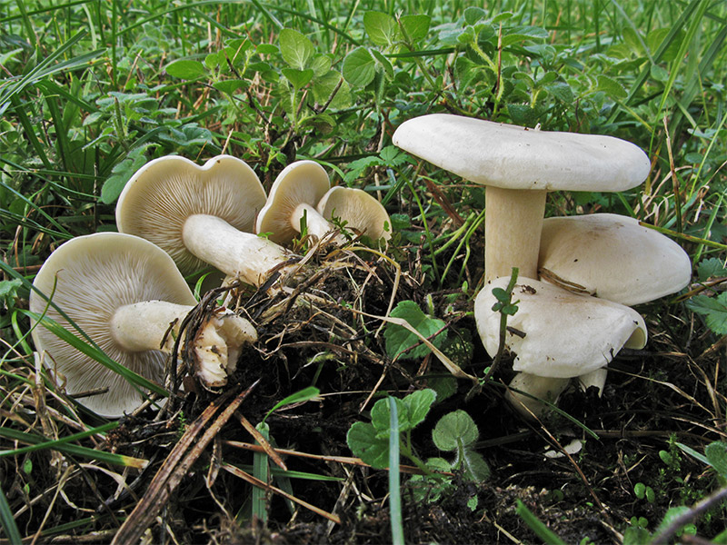 post-2286-008062600 1285969614.jpg