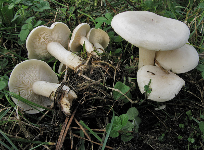 post-2286-036831600 1285969638.jpg