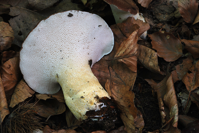 post-4417-080478700 1282548796.jpg