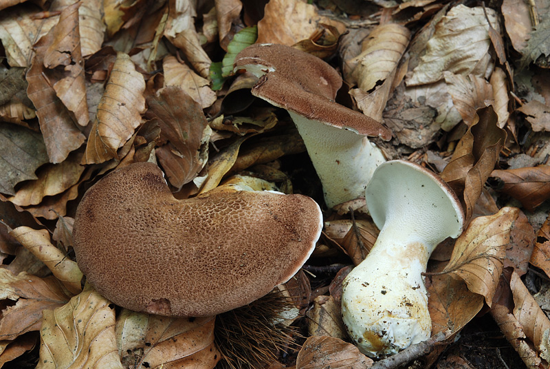 post-4417-099783900 1282548737.jpg