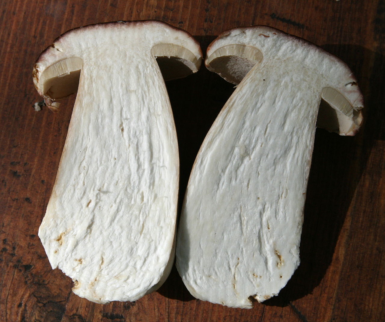 Boletus_edulis_herkkutatti_halki.jpg