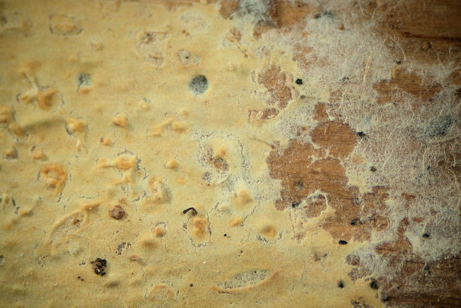 KHL_4607b - 복사본.jpg