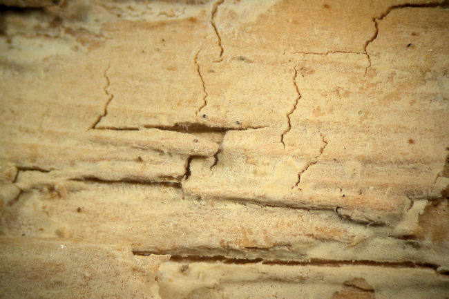 em_3513b - 복사본.jpg