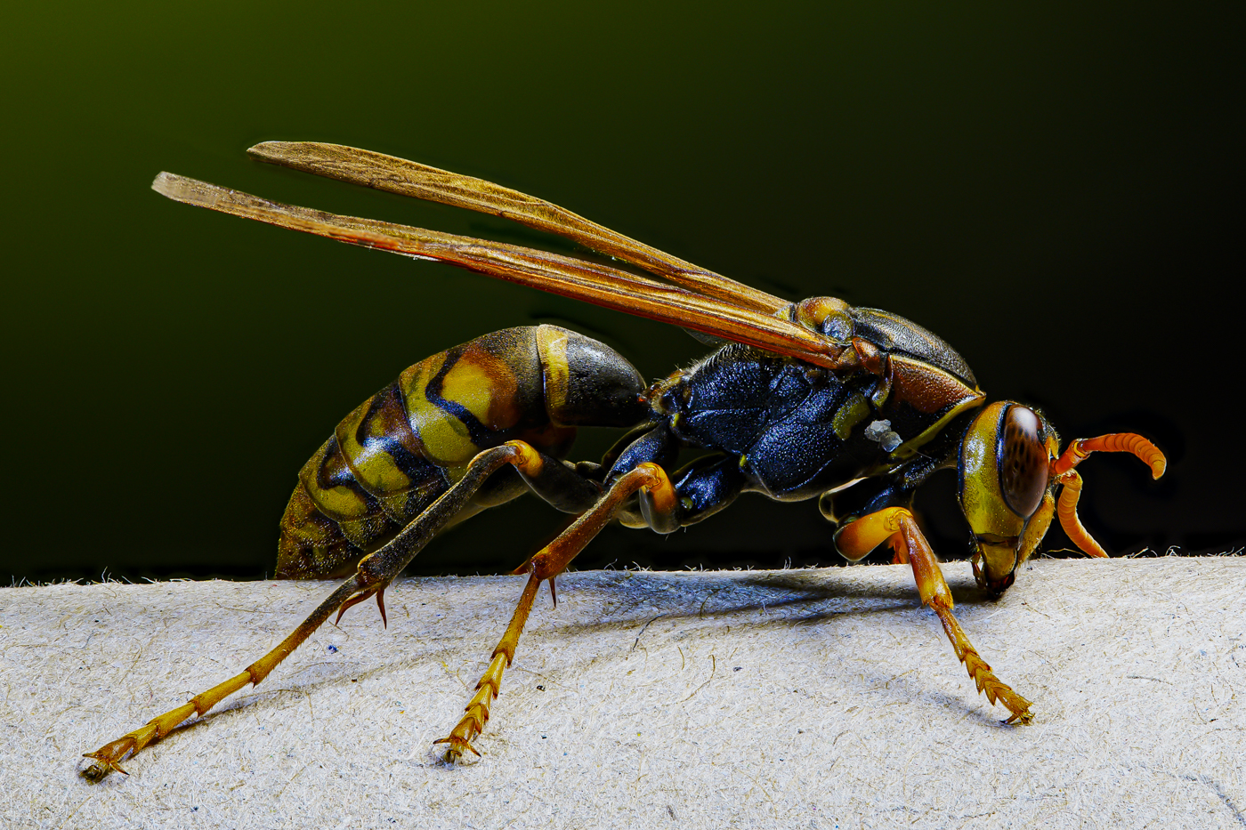 2025-10-29 20-05-52 (B,R4,S2)A9303562-2.jpg