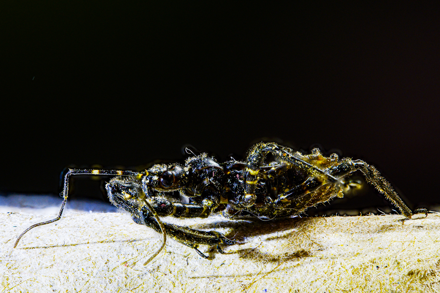 2025-10-29 20-29-19 (B,R4,S2)A9303434-2.jpg