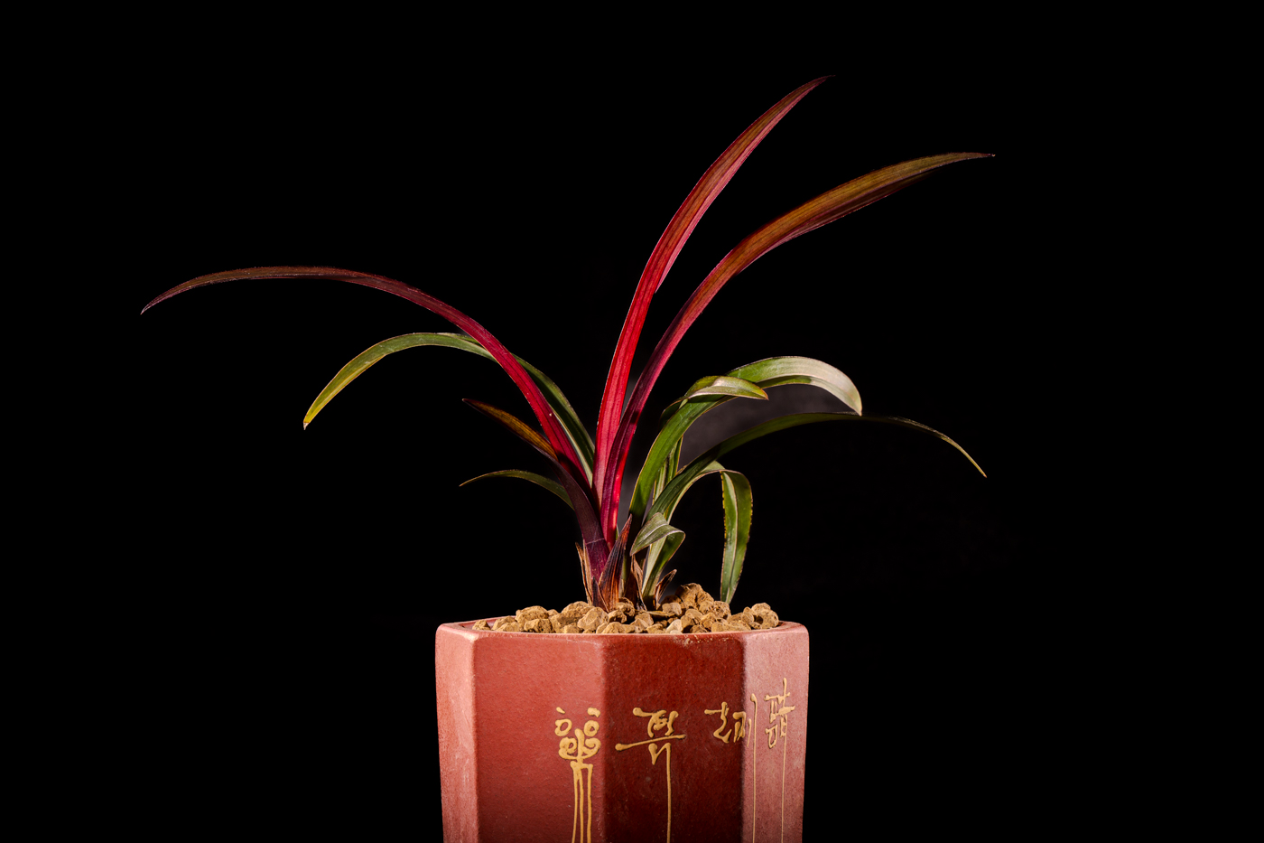 A9300074-향상됨-노이즈 감소.jpg