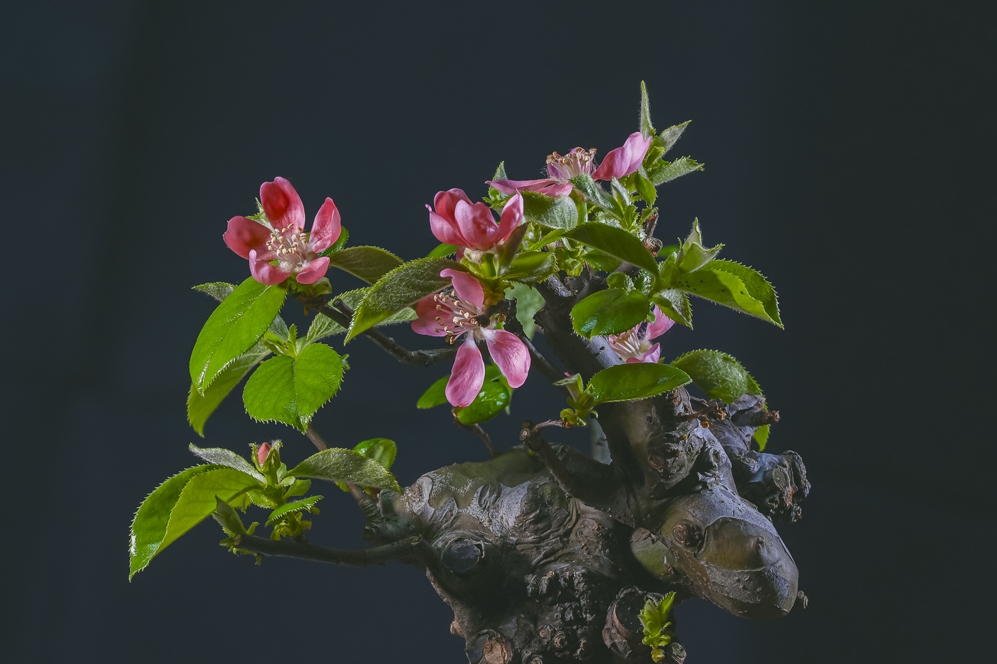 2025-02-09 15-01-27 (a9m3_20).jpg