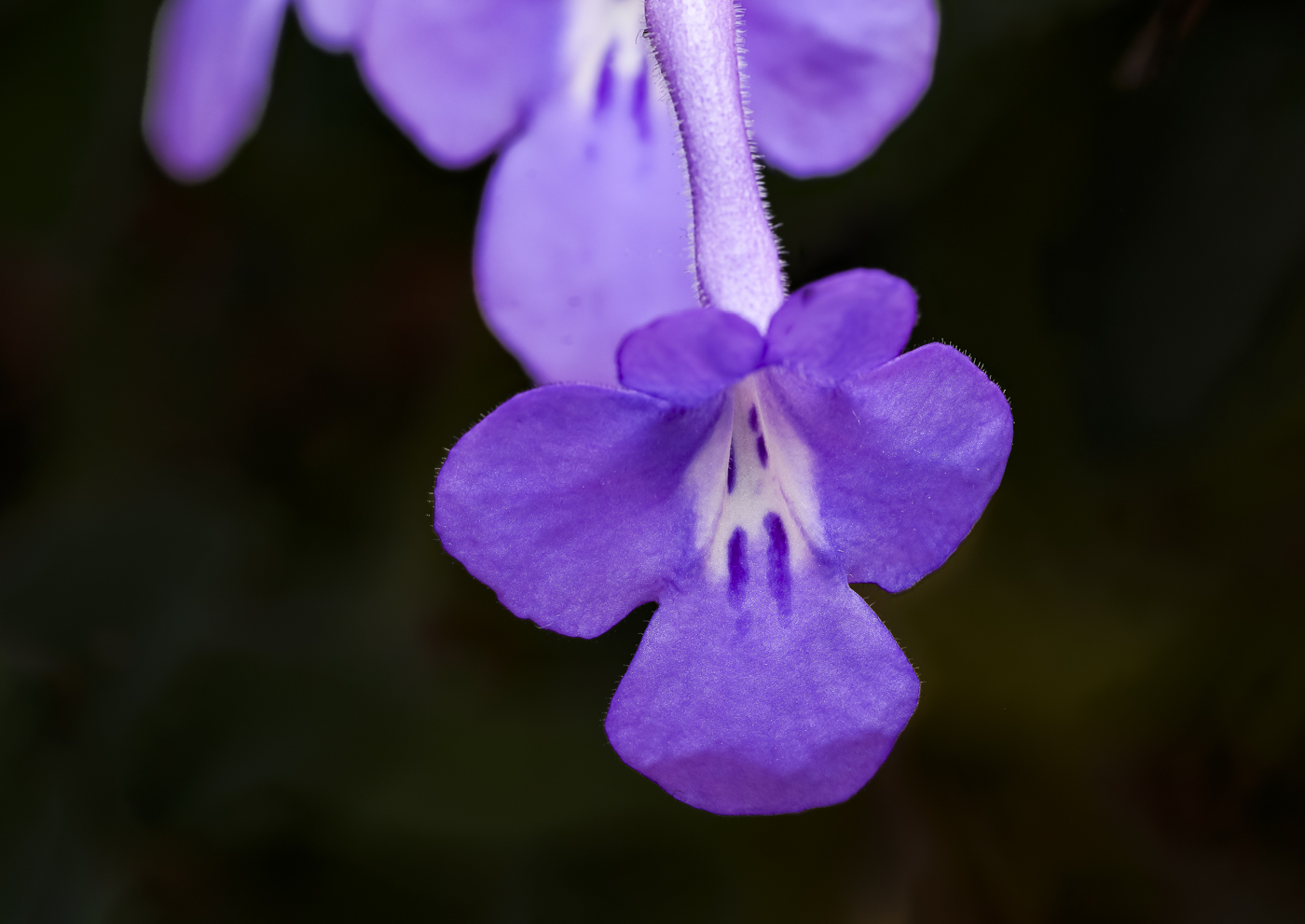 2025-02-14 17-28-18 (B,R8,S4)-2.jpg