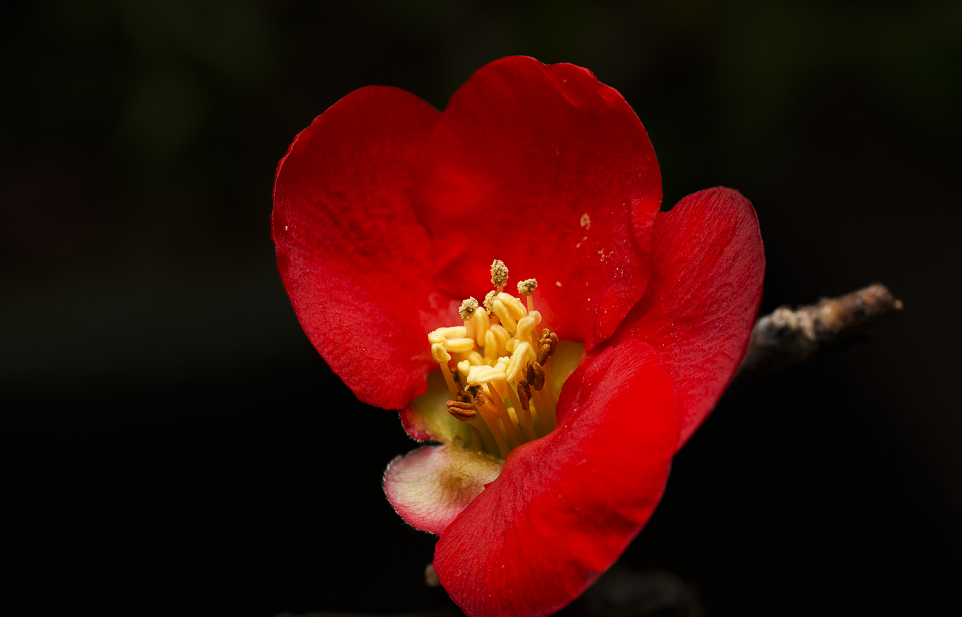 2025-02-14 17-29-11 (B,R8,S4)-3.jpg