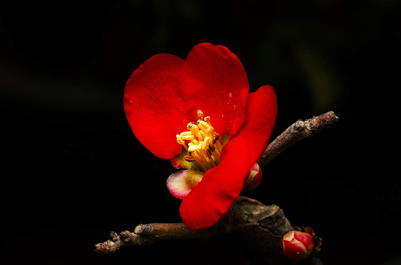 2025-02-14 17-26-13 (B,R8,S4).jpg