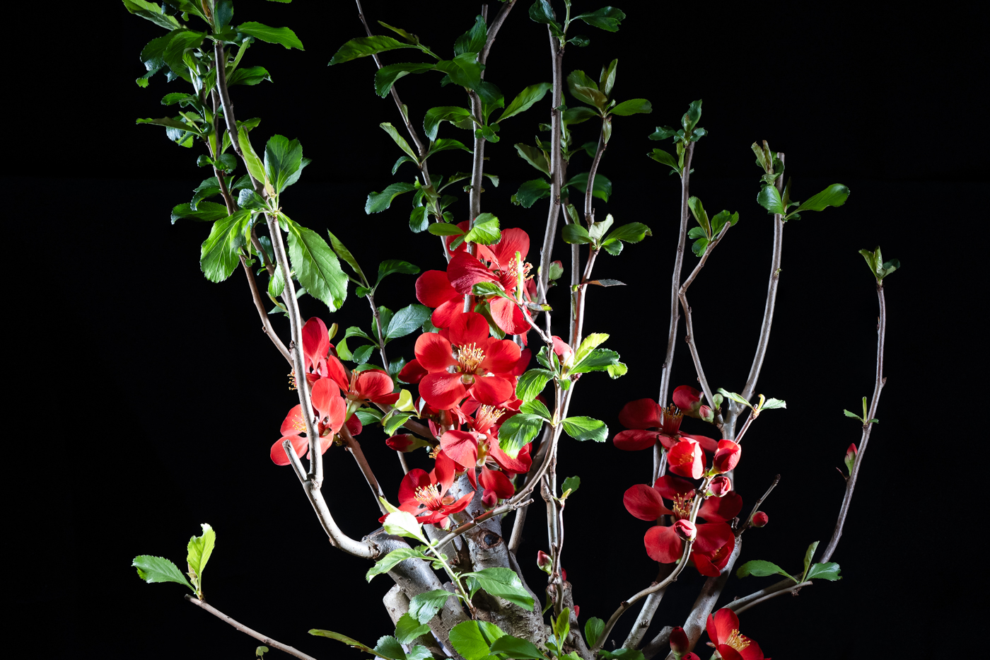 제목 없음-1-2.jpg