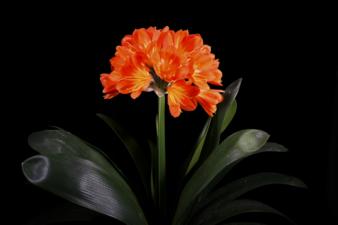 2025-04-20 15-47-15 (B,R2,S1).jpg