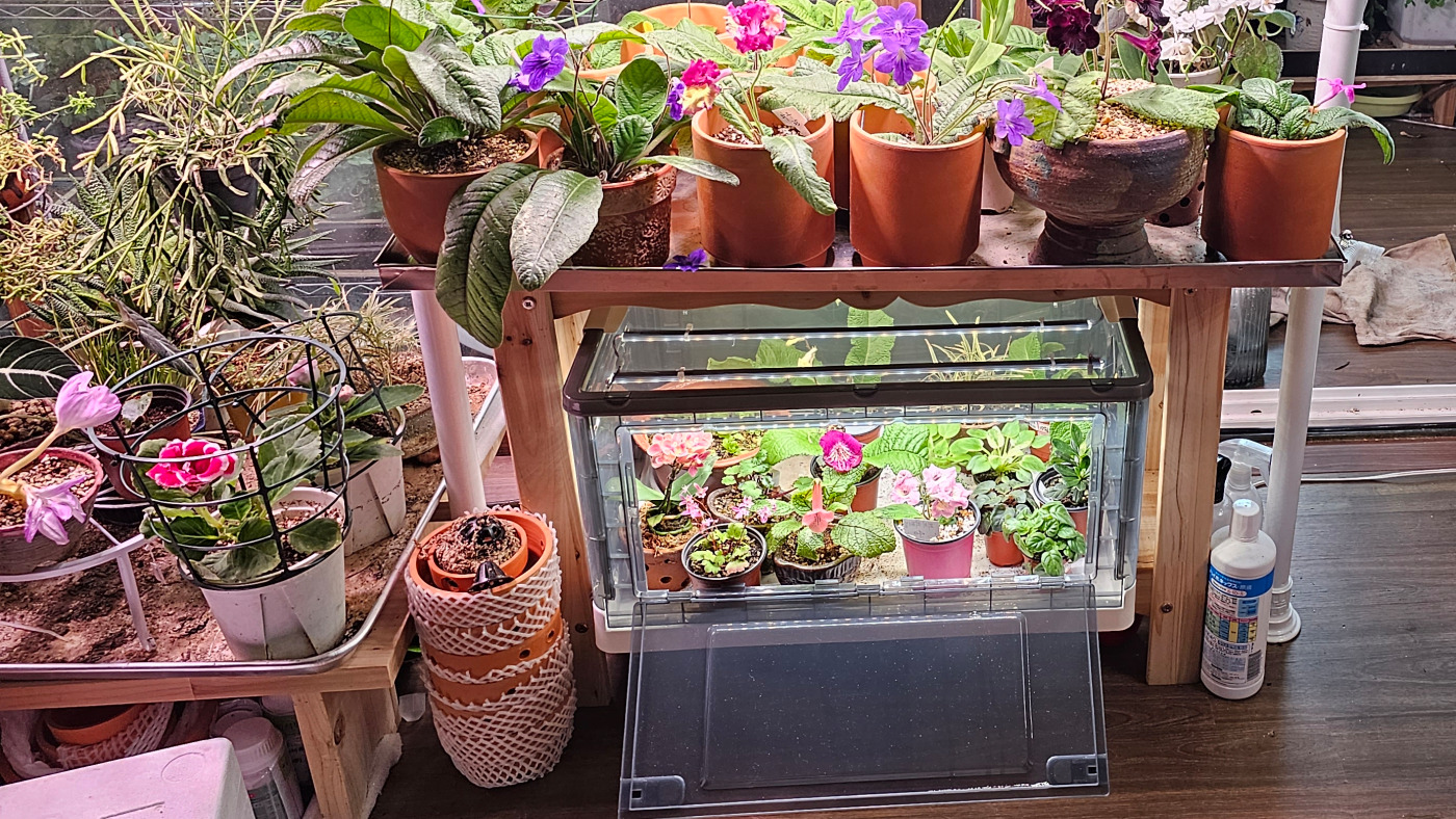 20231021_121700 (1).jpg