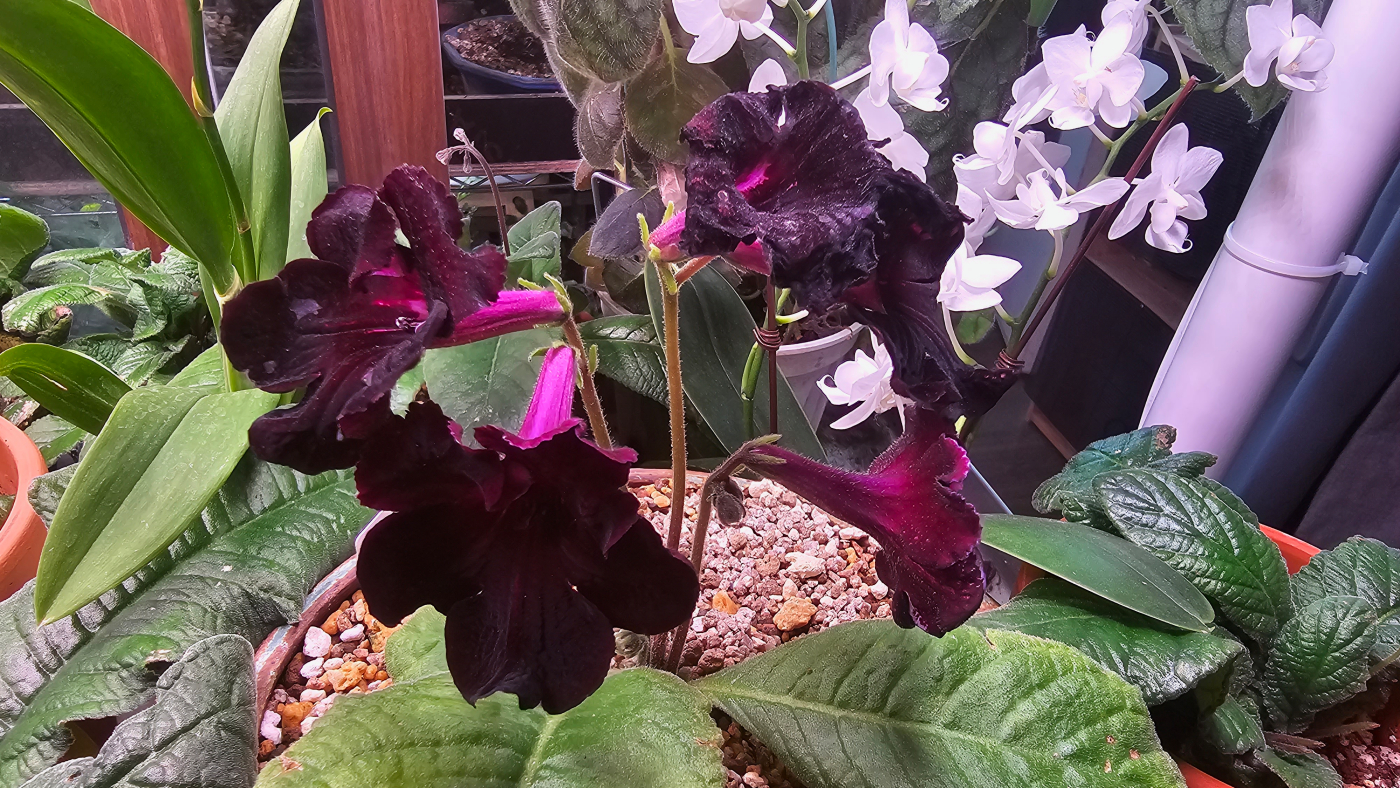 20231021_121456 (1).jpg