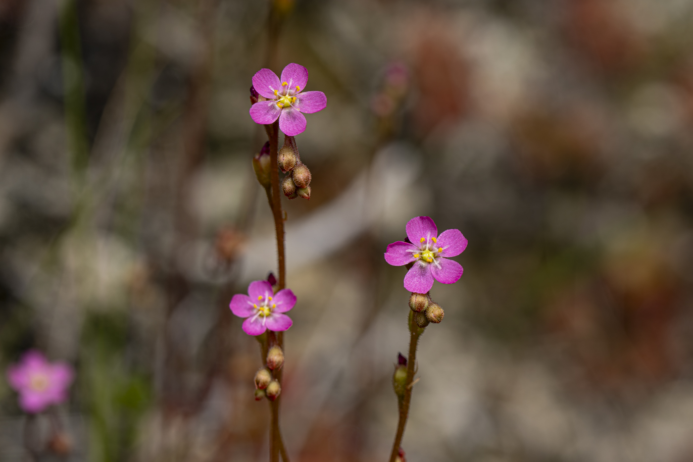 YDY00084-향상됨-노이즈 감소.jpg