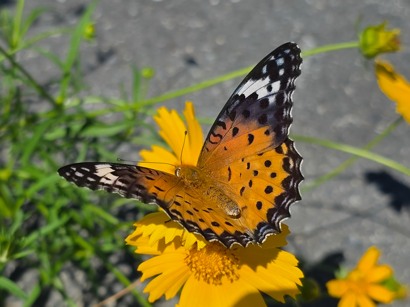 20250923_113129 (1).jpg