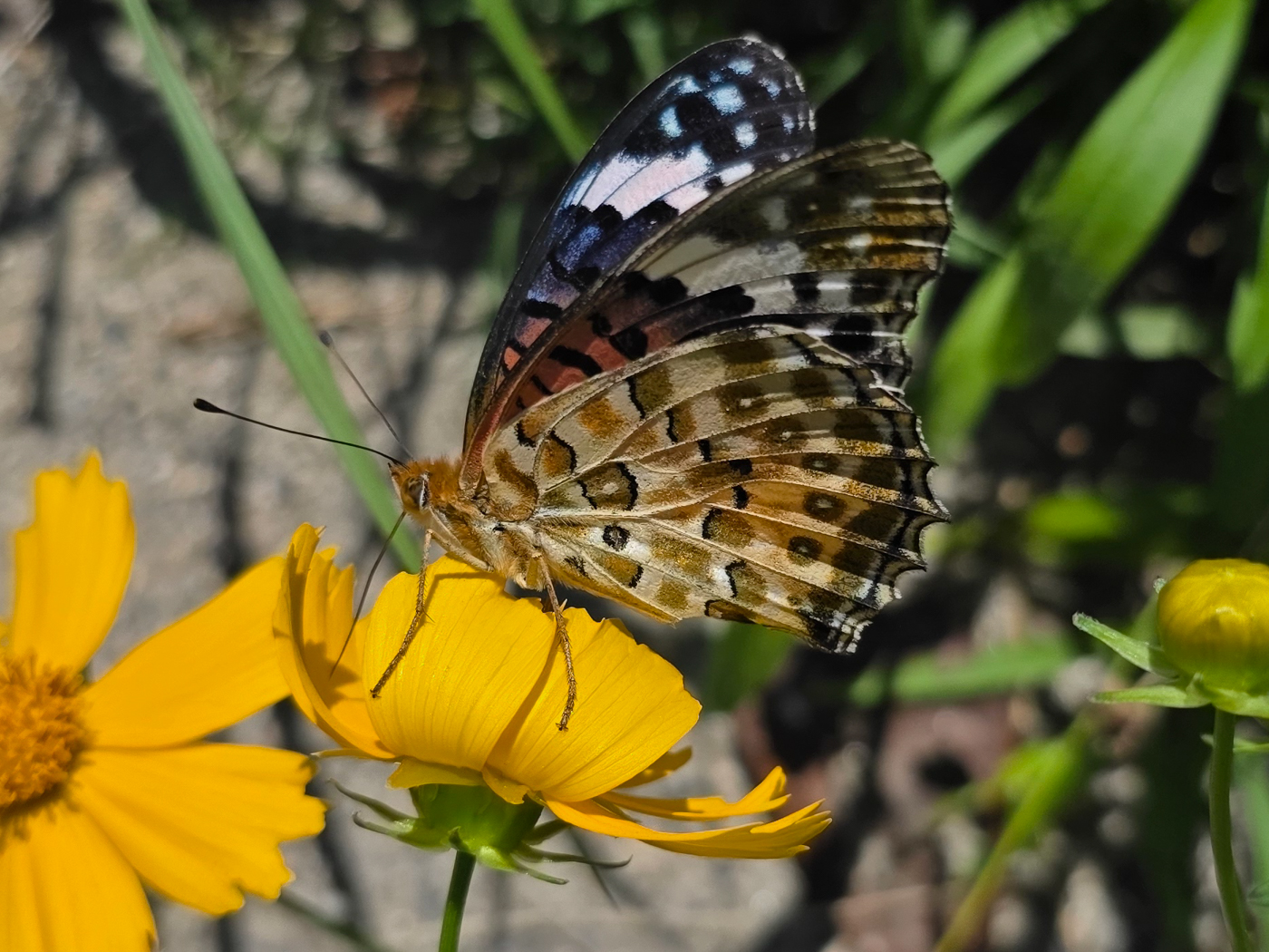 20250923_113205 (1).jpg