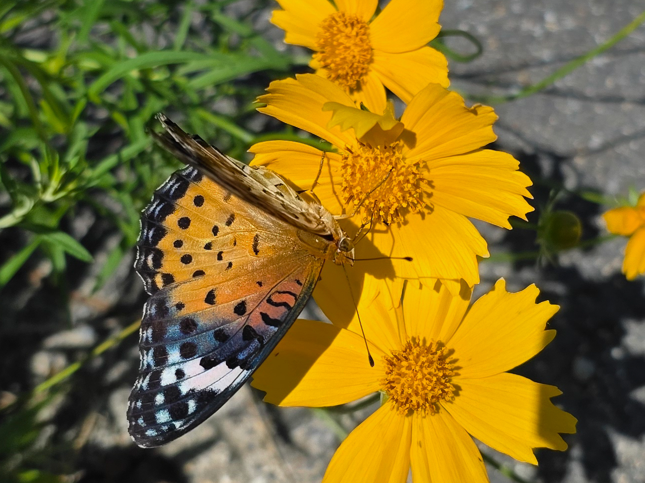 20250923_113138 (1).jpg