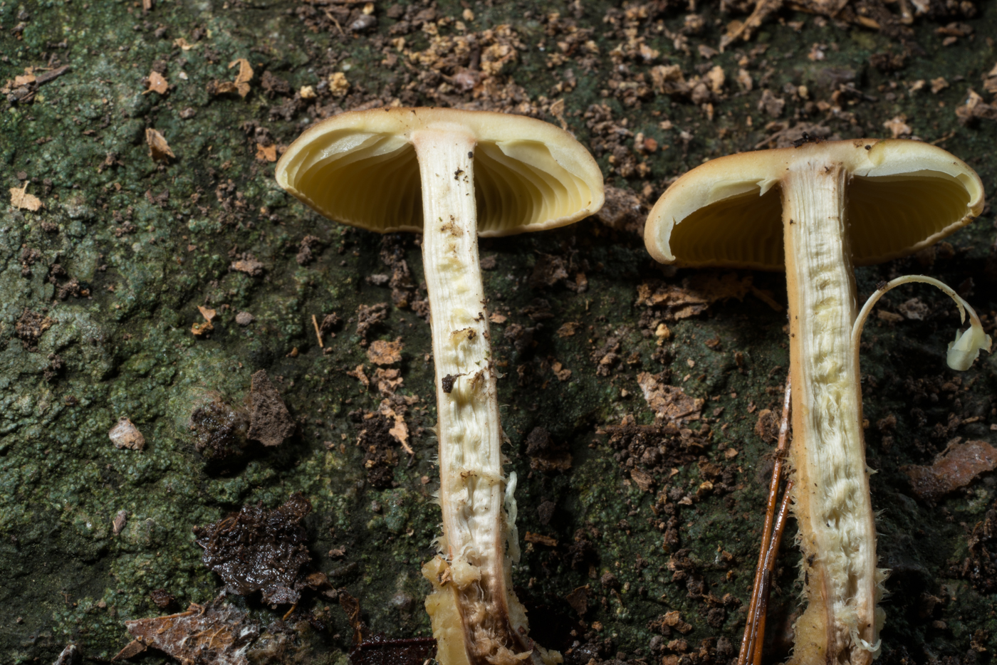 YDY04159.jpg