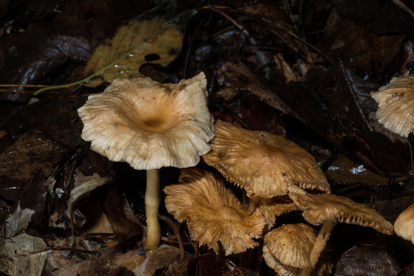 YDY03861.jpg