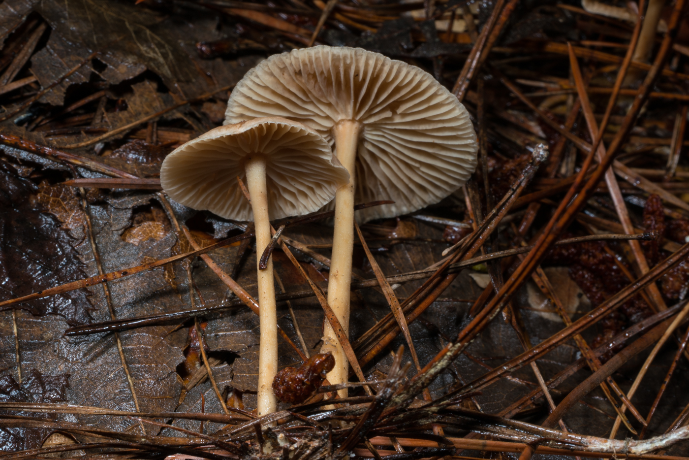 YDY03813.jpg