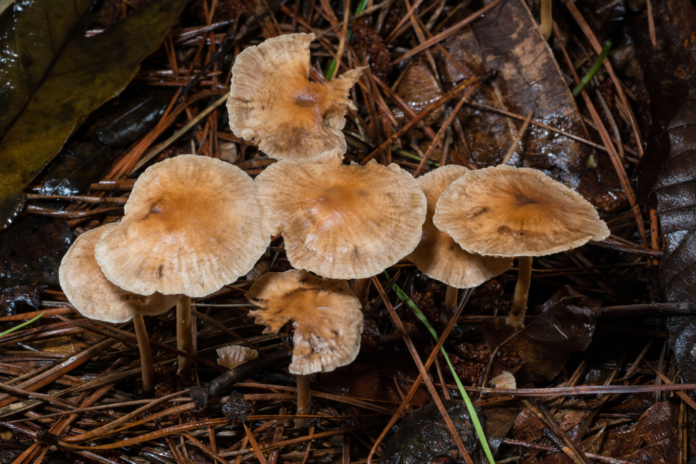 YDY03811.jpg