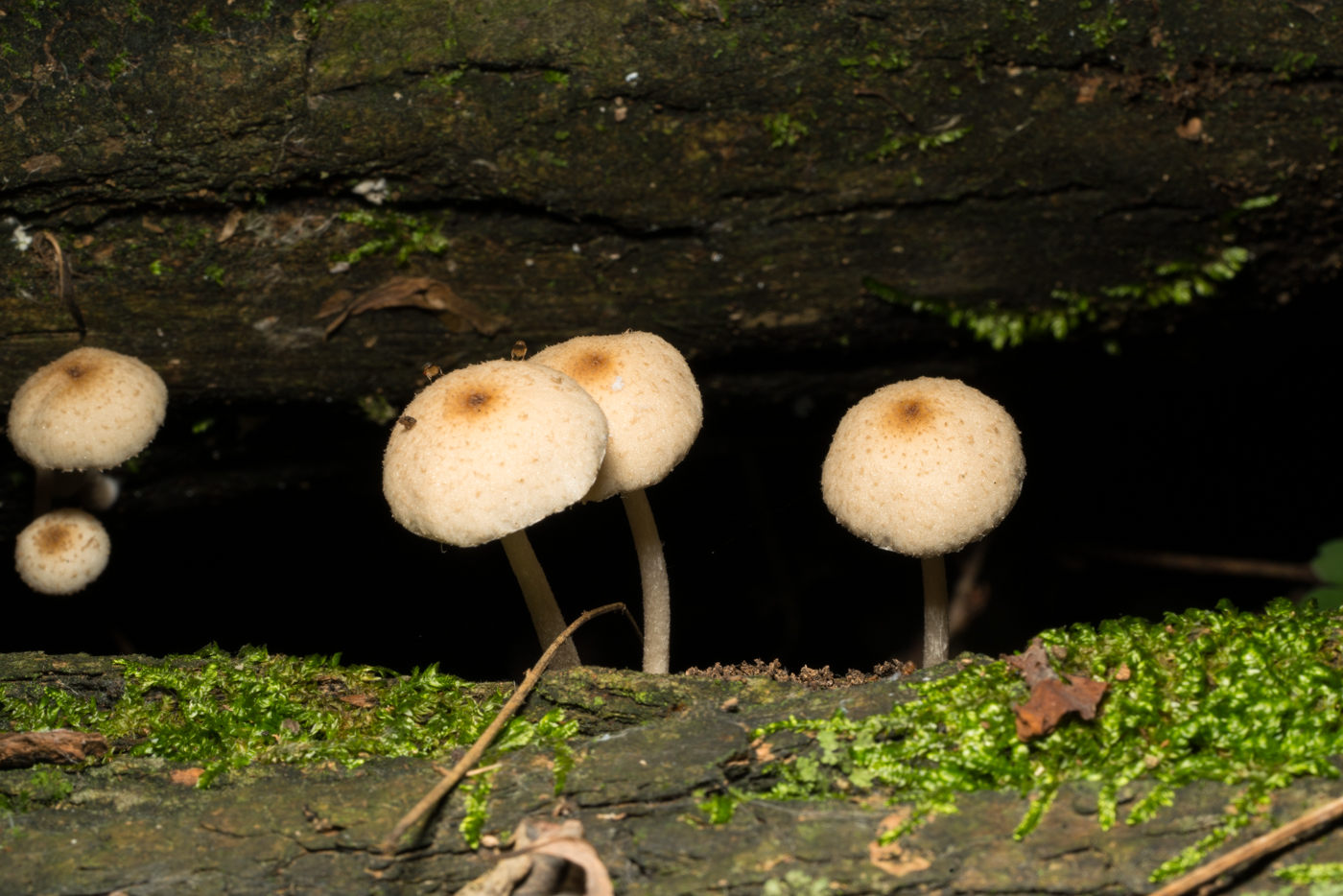 YDY08993.jpg