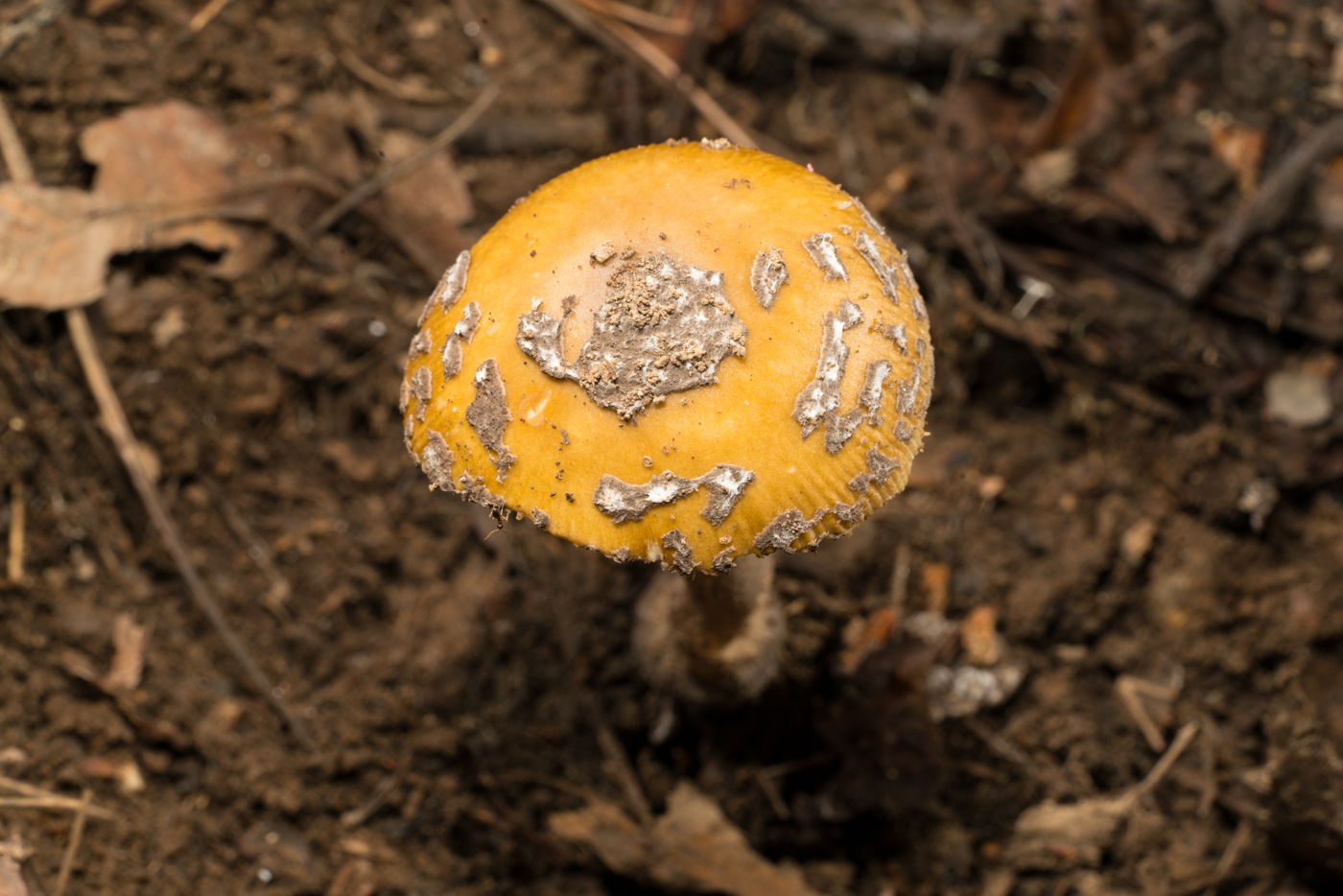 YDY08851.jpg