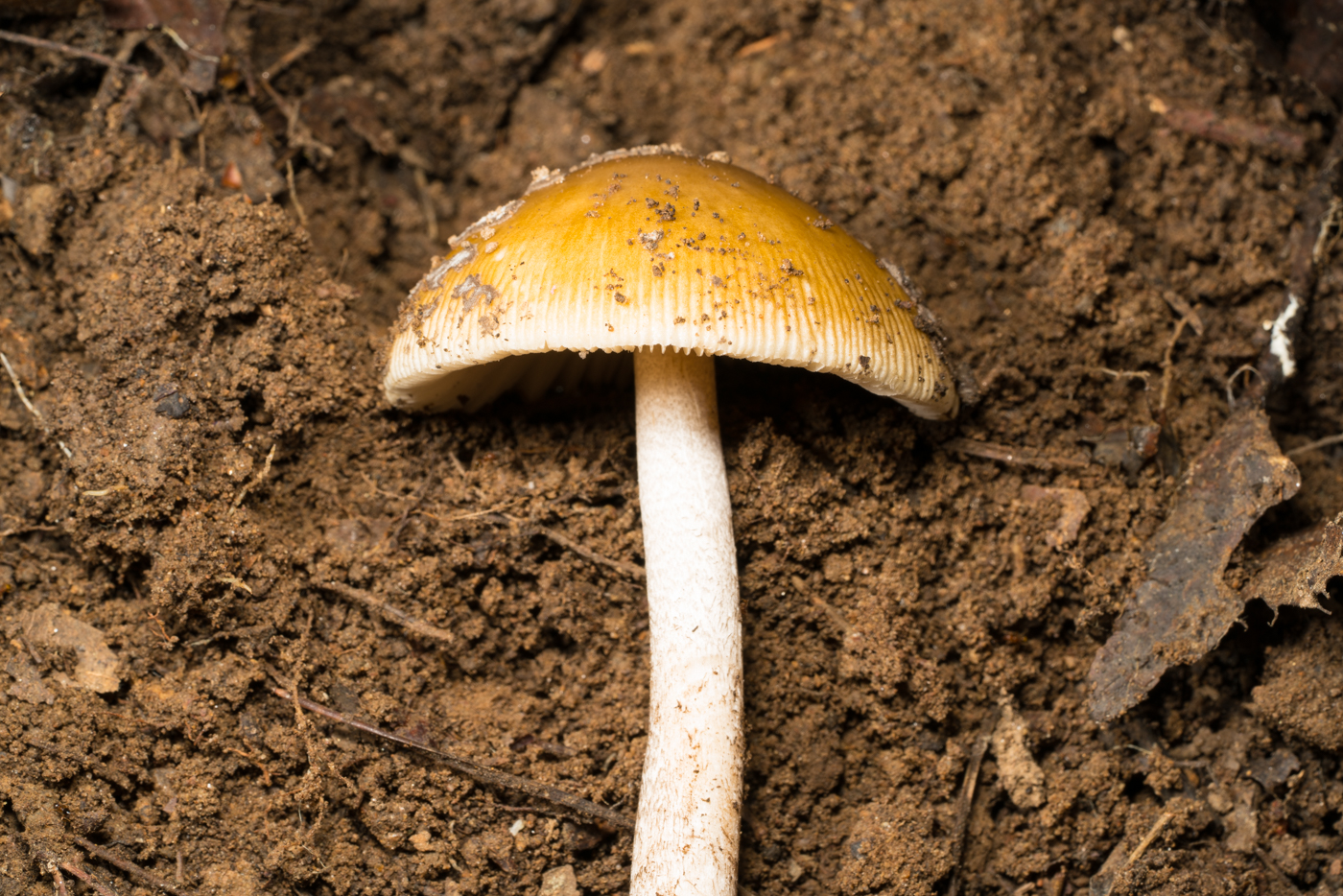 YDY08858.jpg