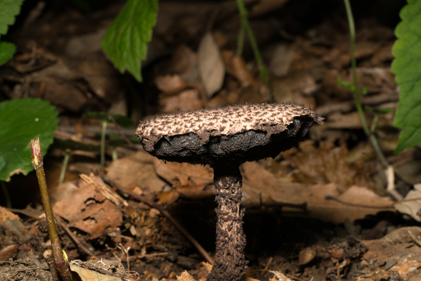 YDY09064.jpg