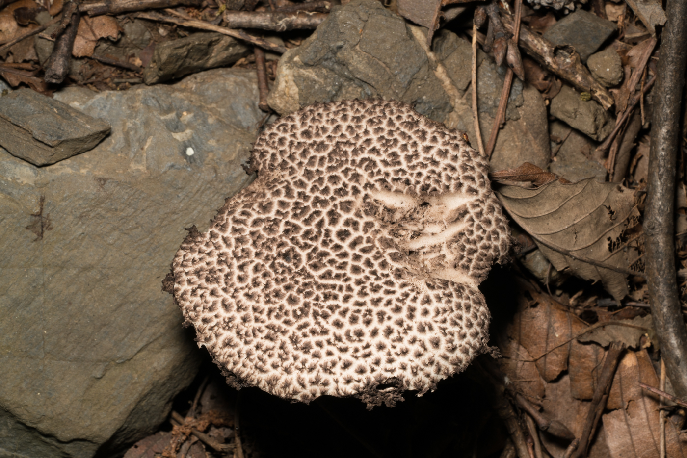 YDY09059.jpg