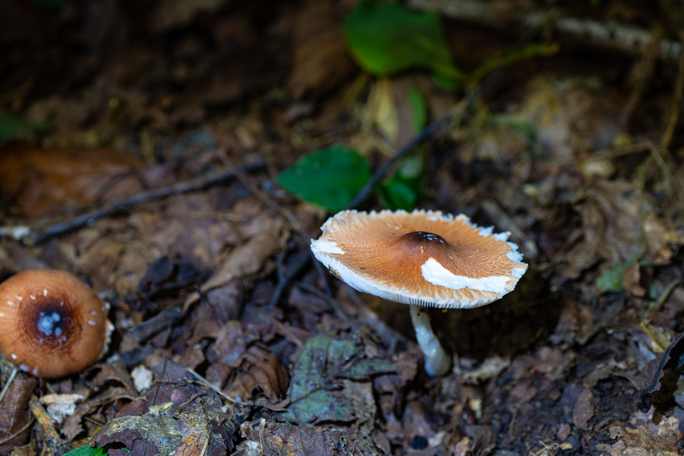 YDY00225.jpg