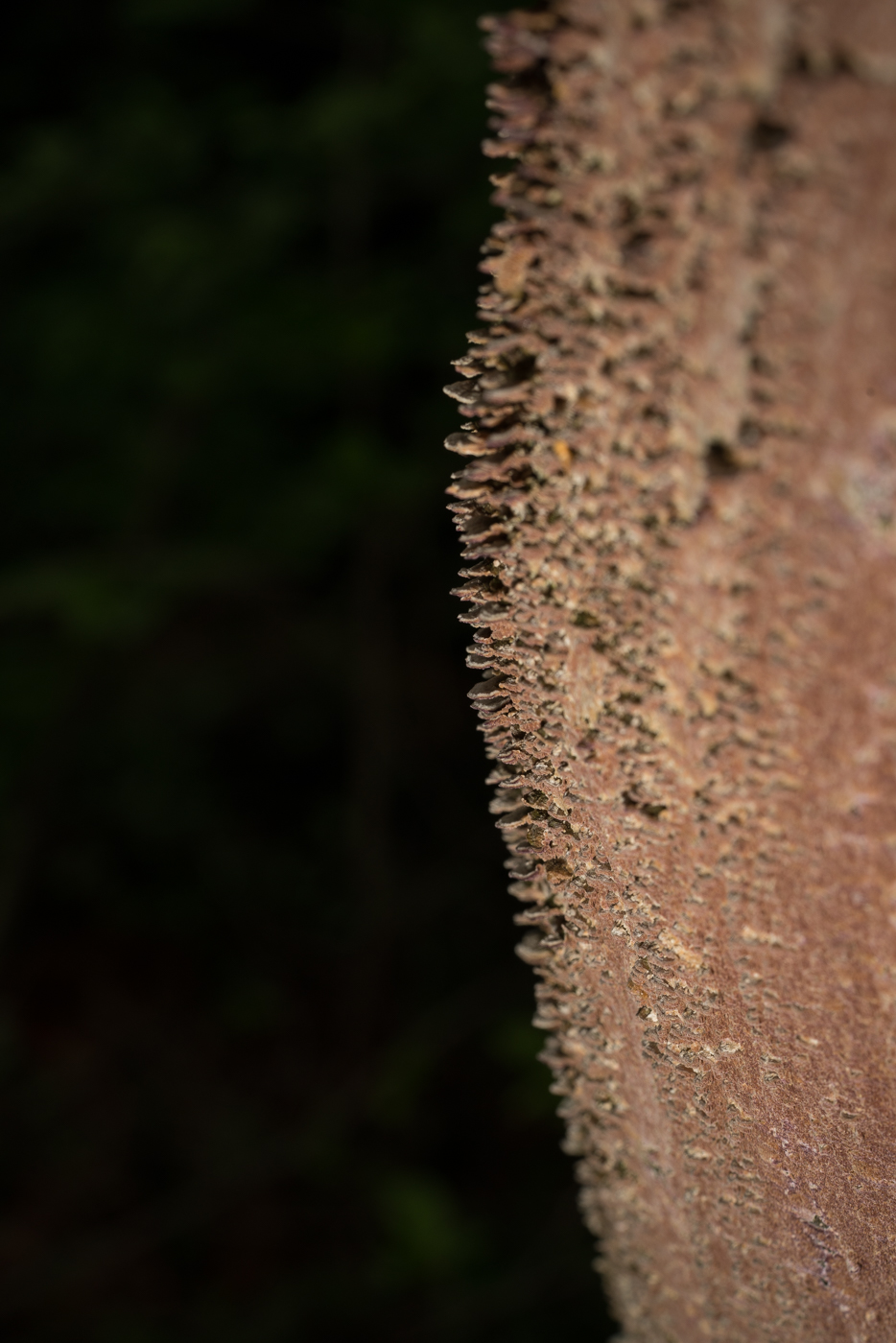 YDY07485.jpg
