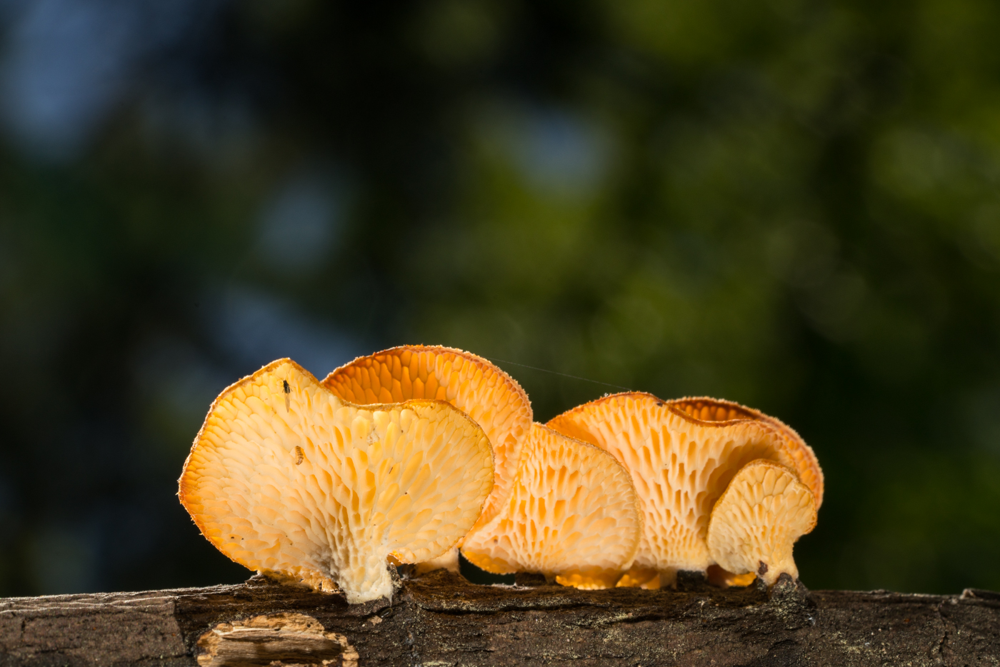 YDY07371.jpg