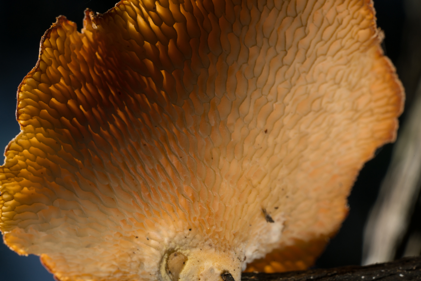 YDY07373.jpg