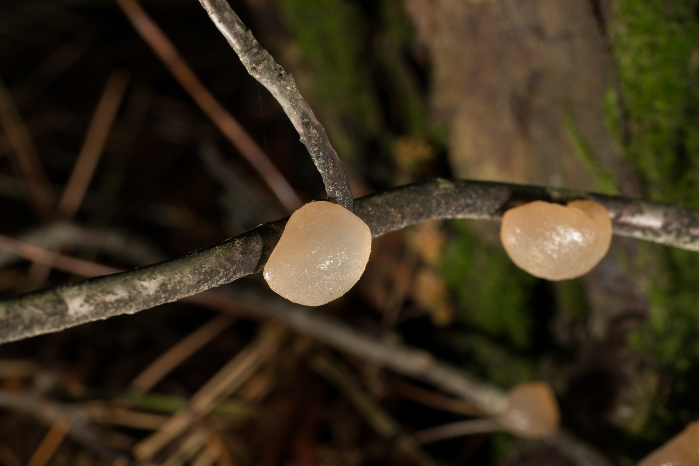 YDY07429.jpg