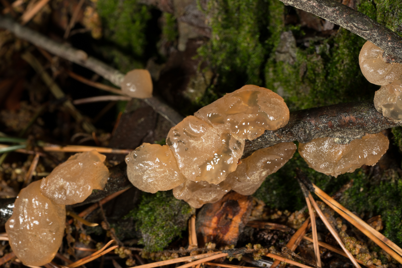YDY07427.jpg