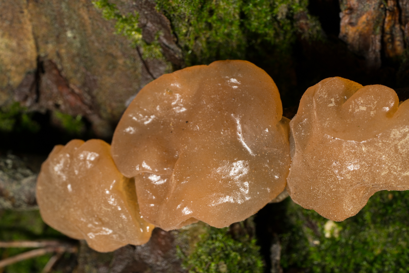 YDY07425.jpg