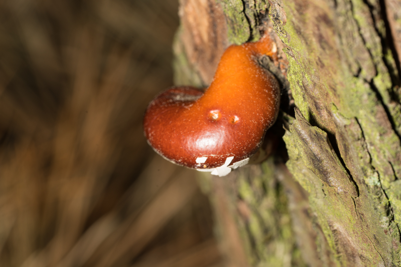 YDY07489.jpg