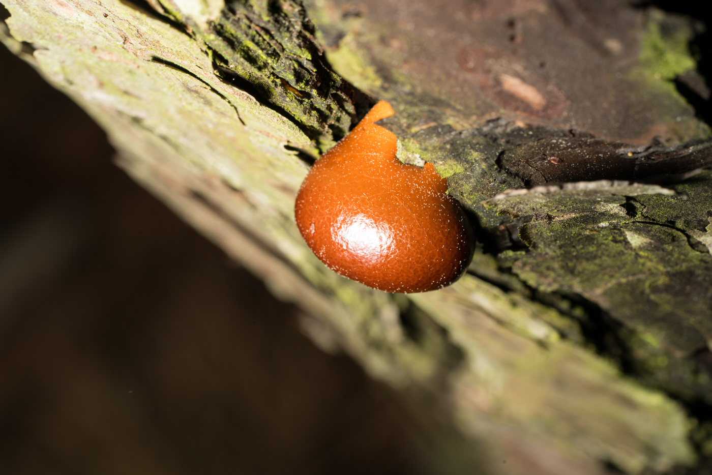 YDY07491.jpg